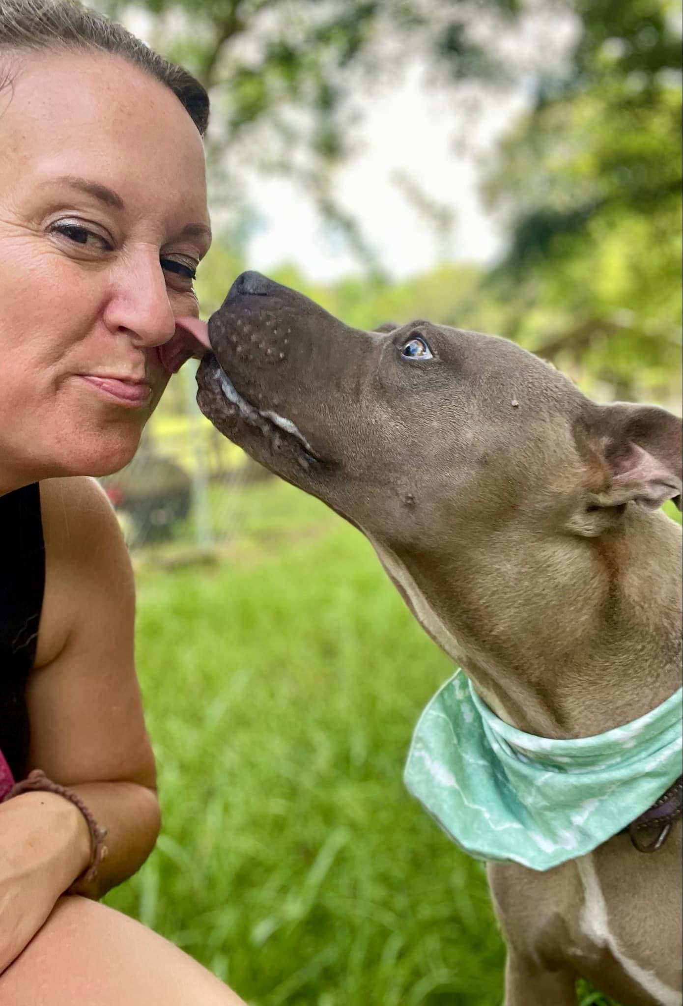 Scarlett, a Adoptable mixed breed in New Orleans, LA image 4/6