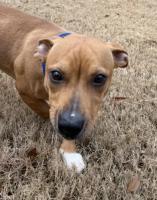 Jackson Brown thumbnail 3