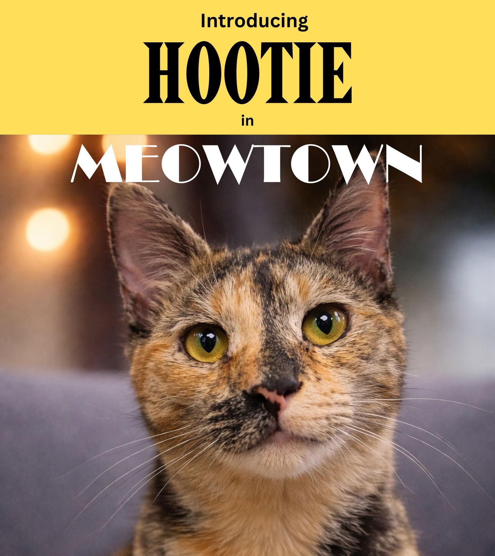 Hootie — thumbnail 3