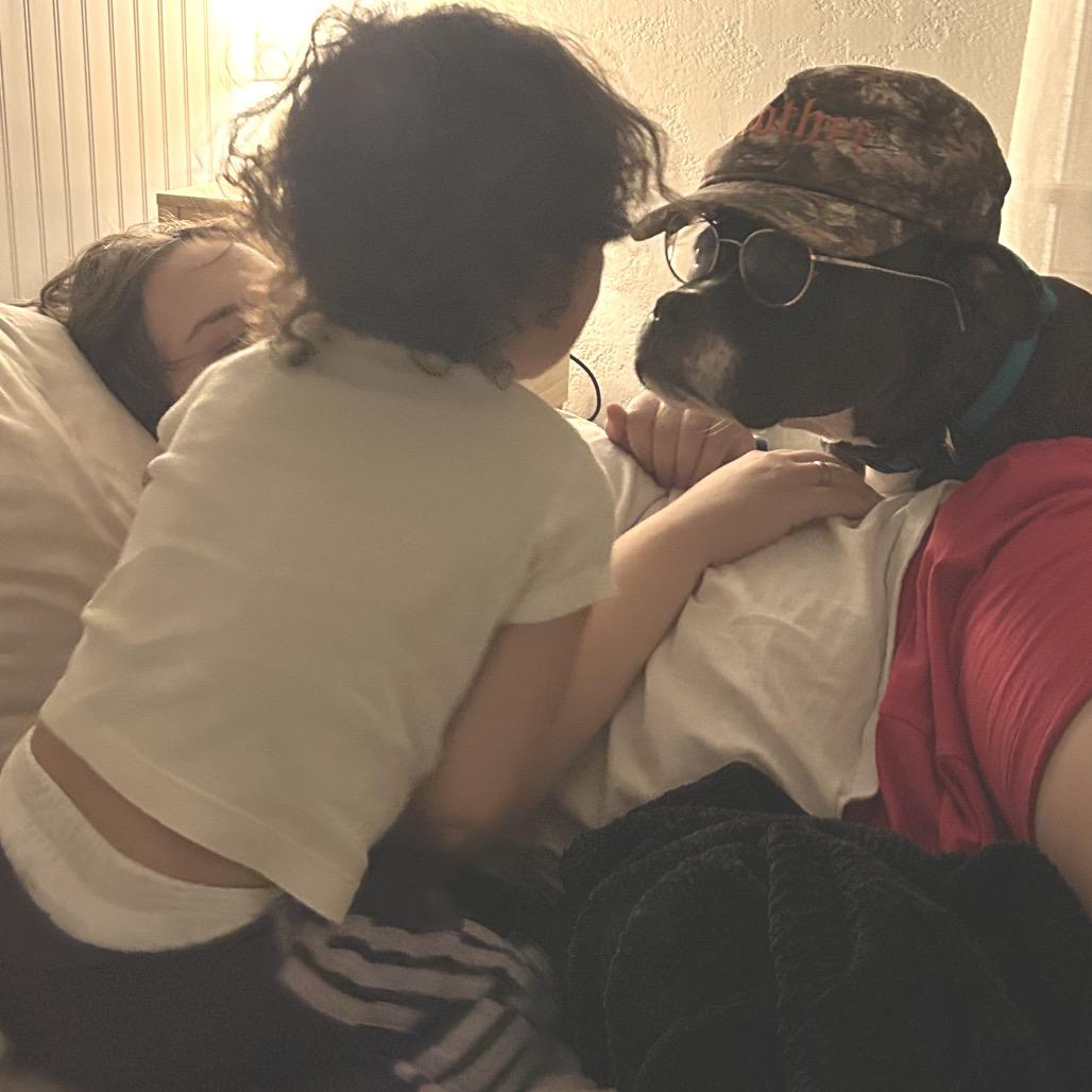 Enlarge Daisy Boo, a Adoptable mixed breed in Sacramento, CA image 5/5