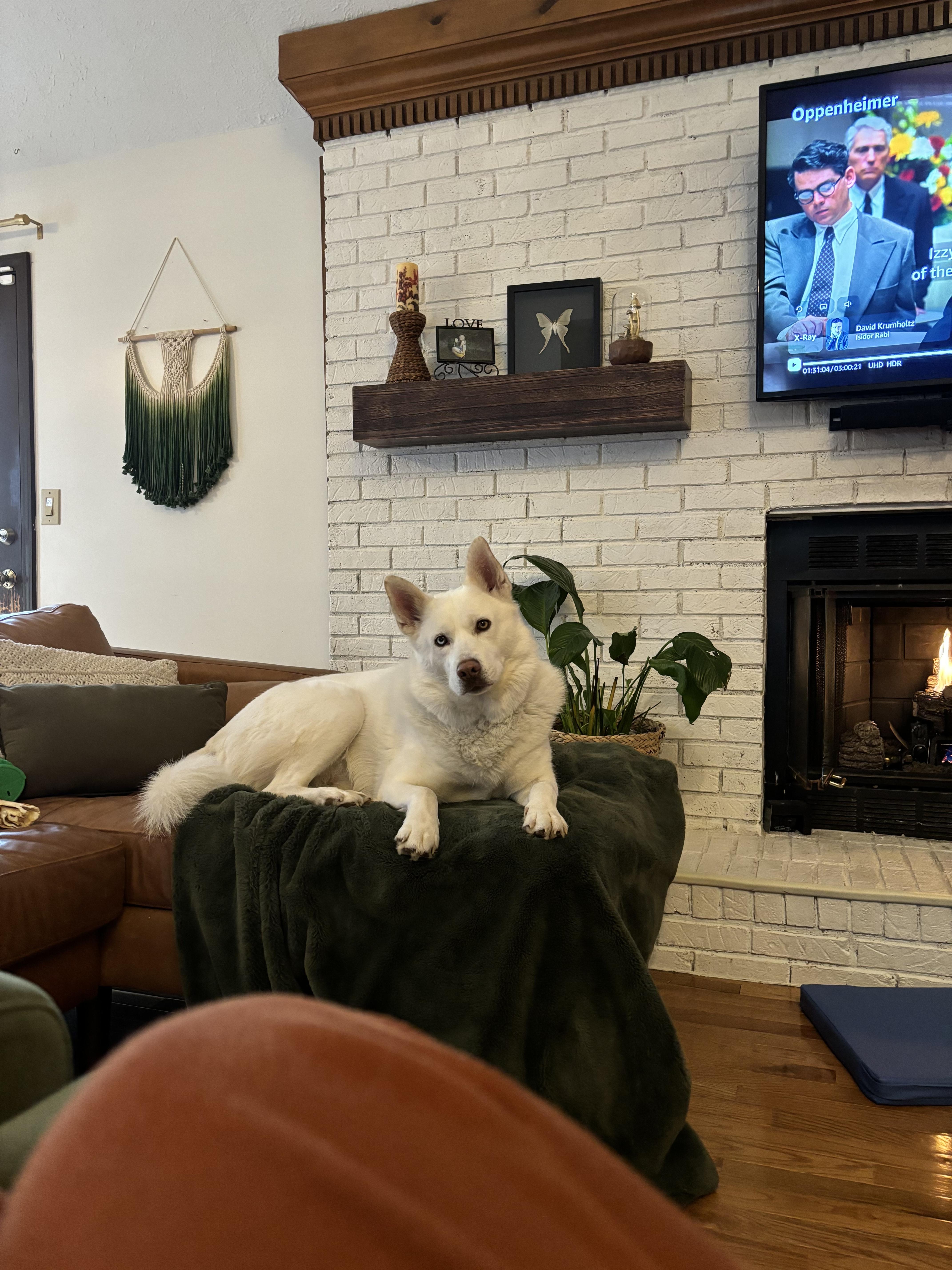 Koda
