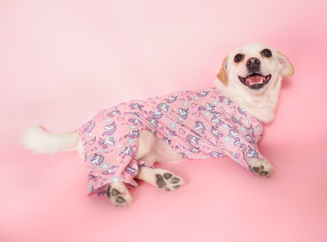 Enlarge Sedona, a Adopted mixed breed in PHOENIX, AZ image 4/5