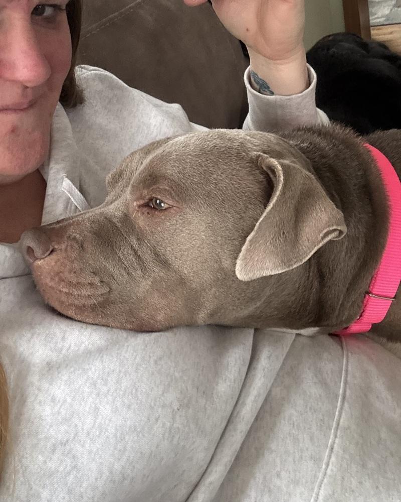 Nova The Nice thumbnail 2