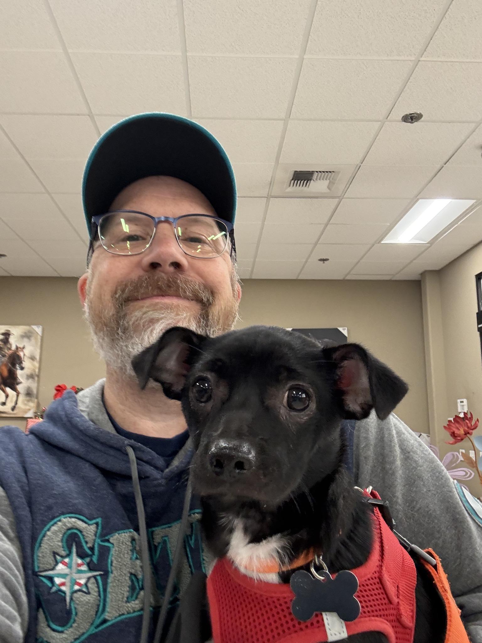 Enlarge Honor, a ADOPTABLE mixed breed in Covington, WA image 2/6