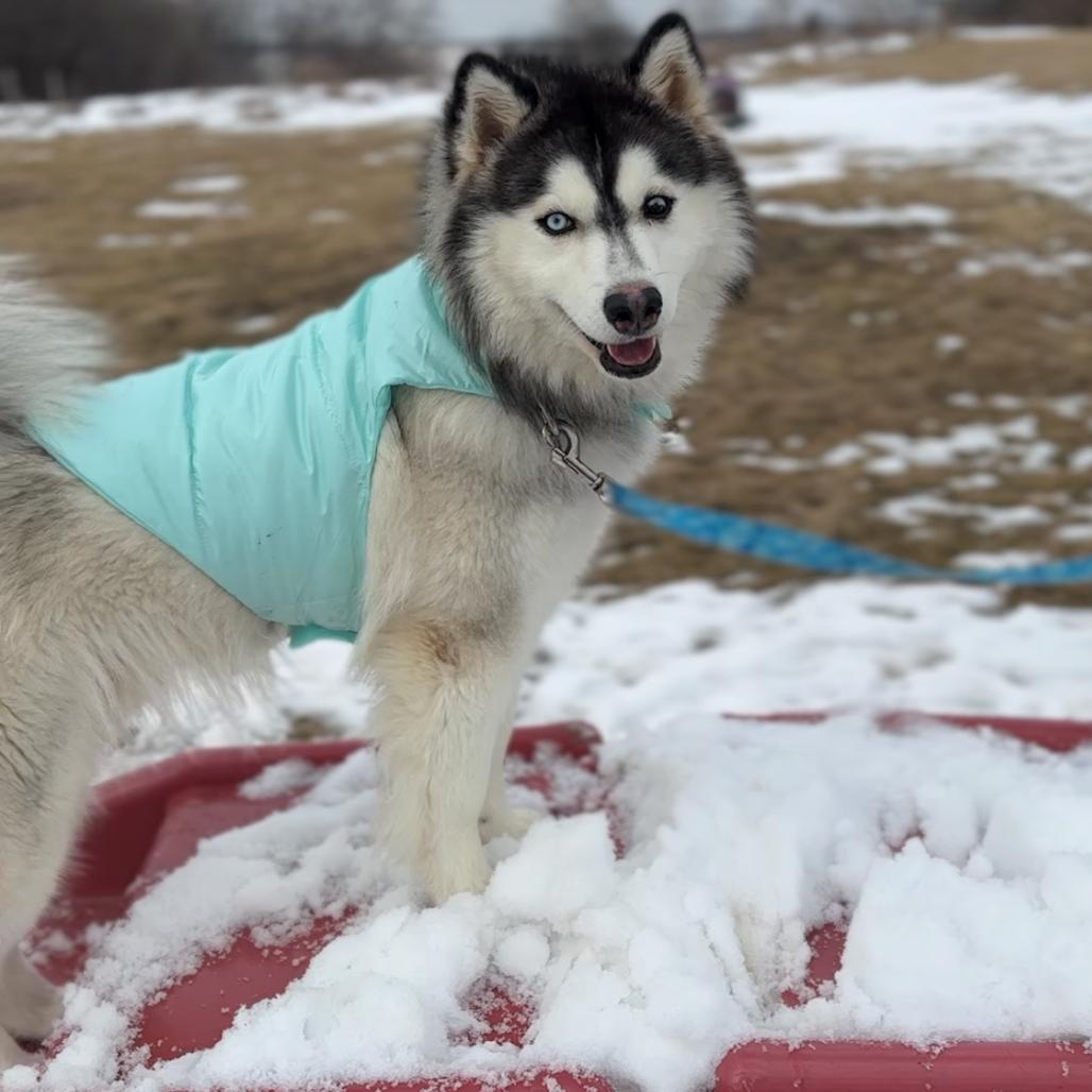 Fred — thumbnail 2