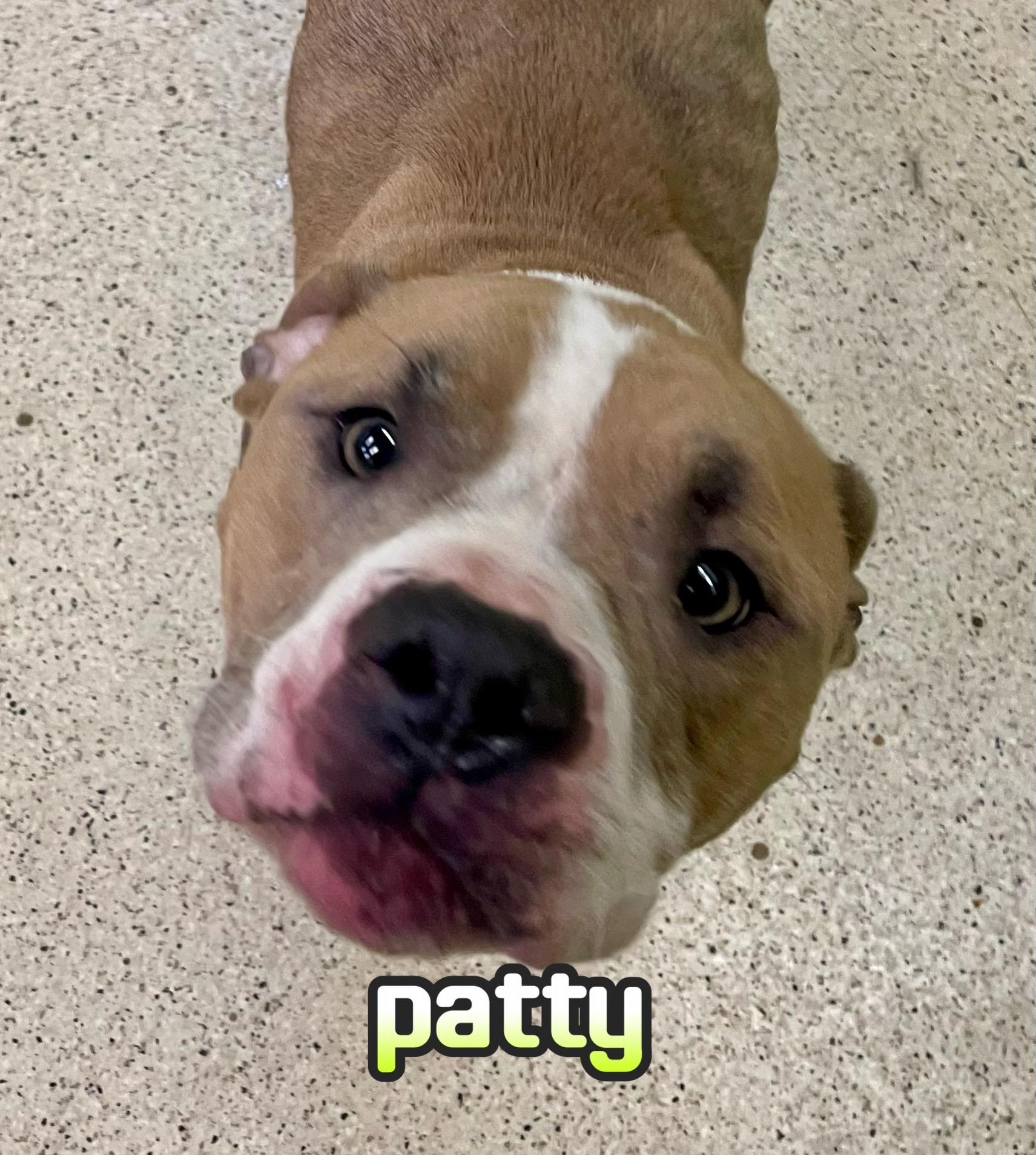 Patty
