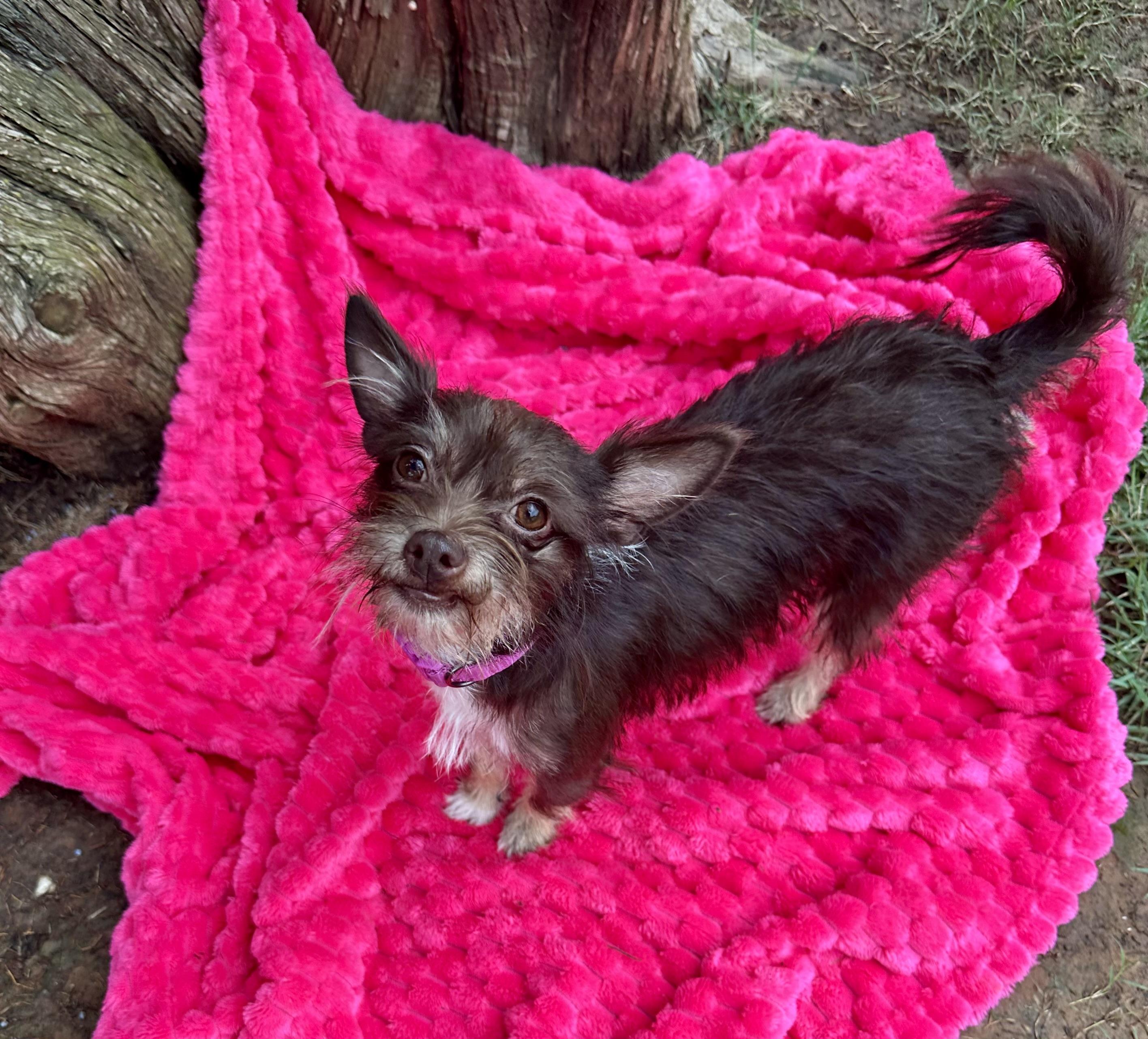Minnie