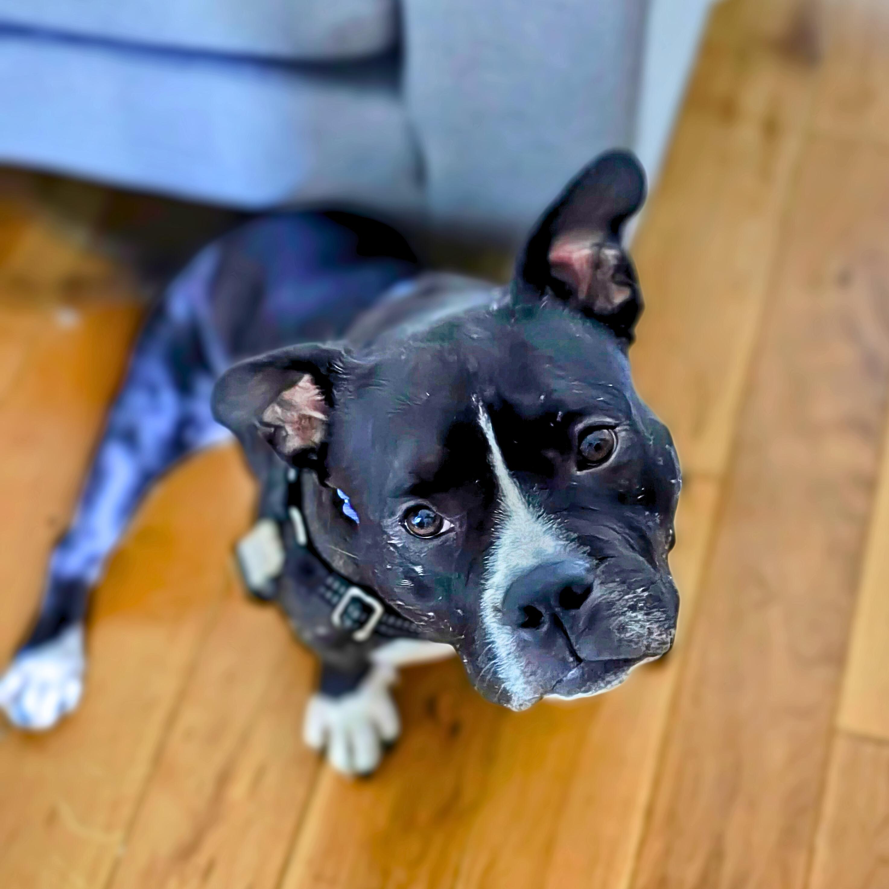 Smidge
