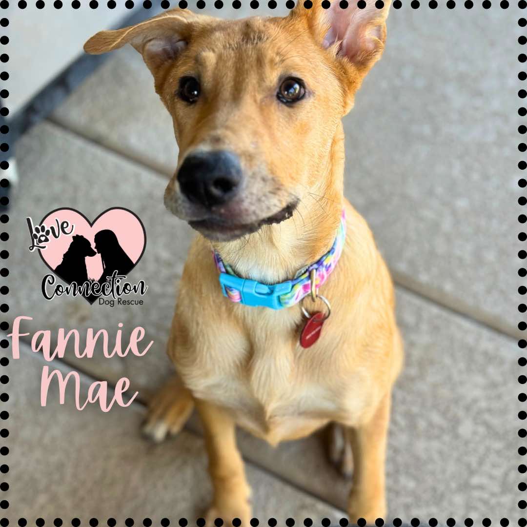 Fannie Mae