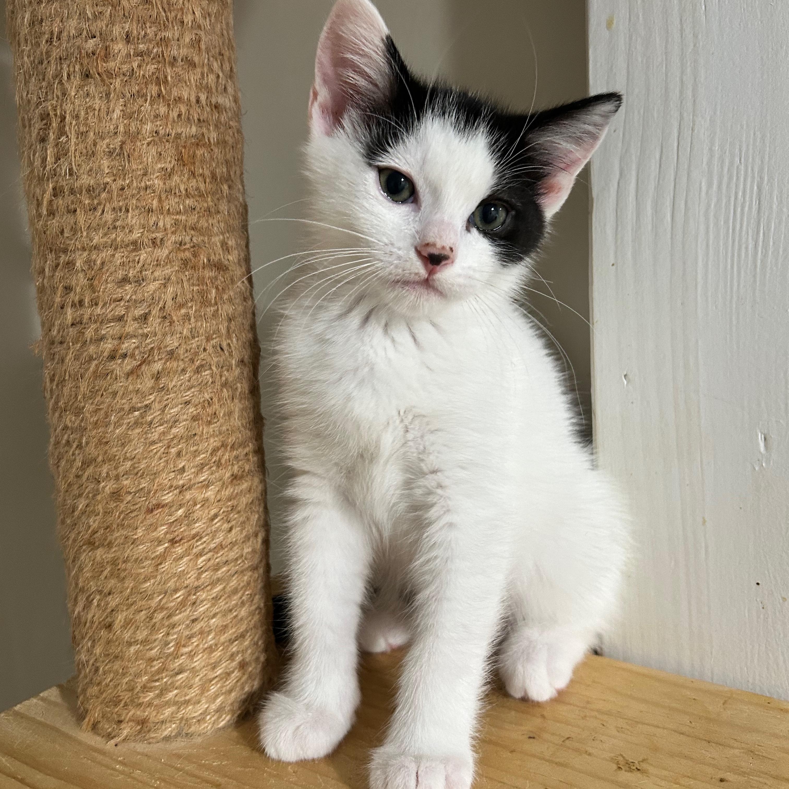 L'oreal - The Glam Group