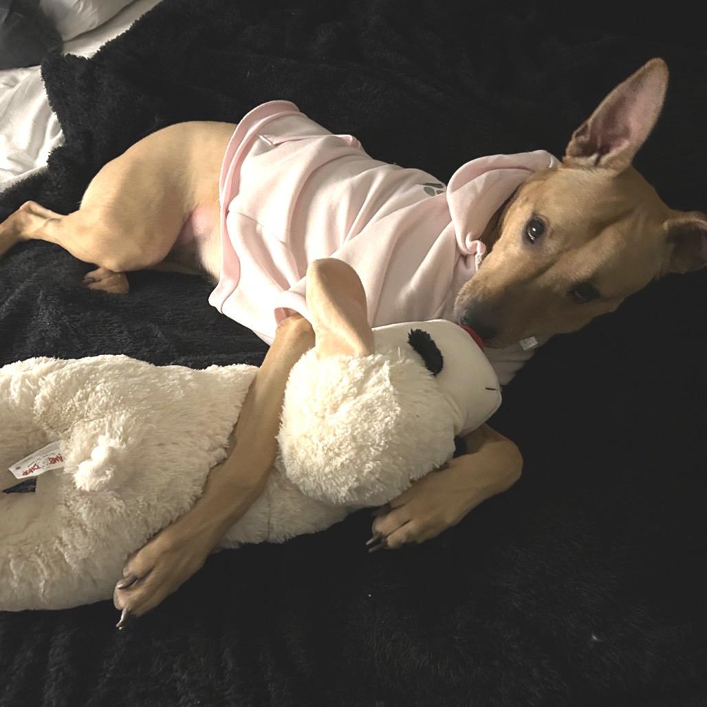 Nala — thumbnail 5