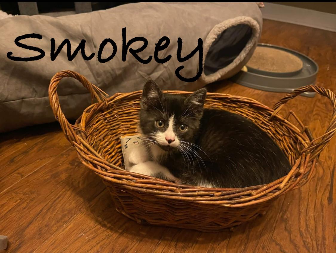 Smokey