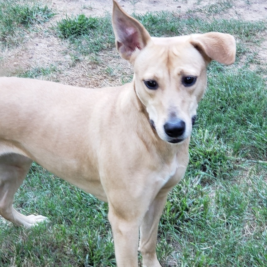 Ditto — thumbnail 2