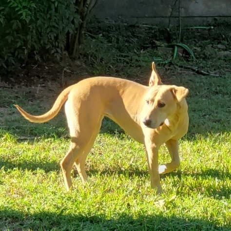 Ditto — thumbnail 4