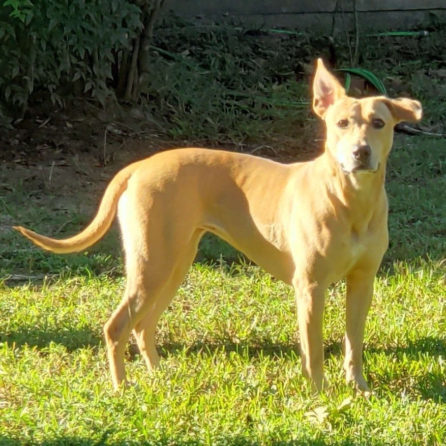 Ditto — thumbnail 5