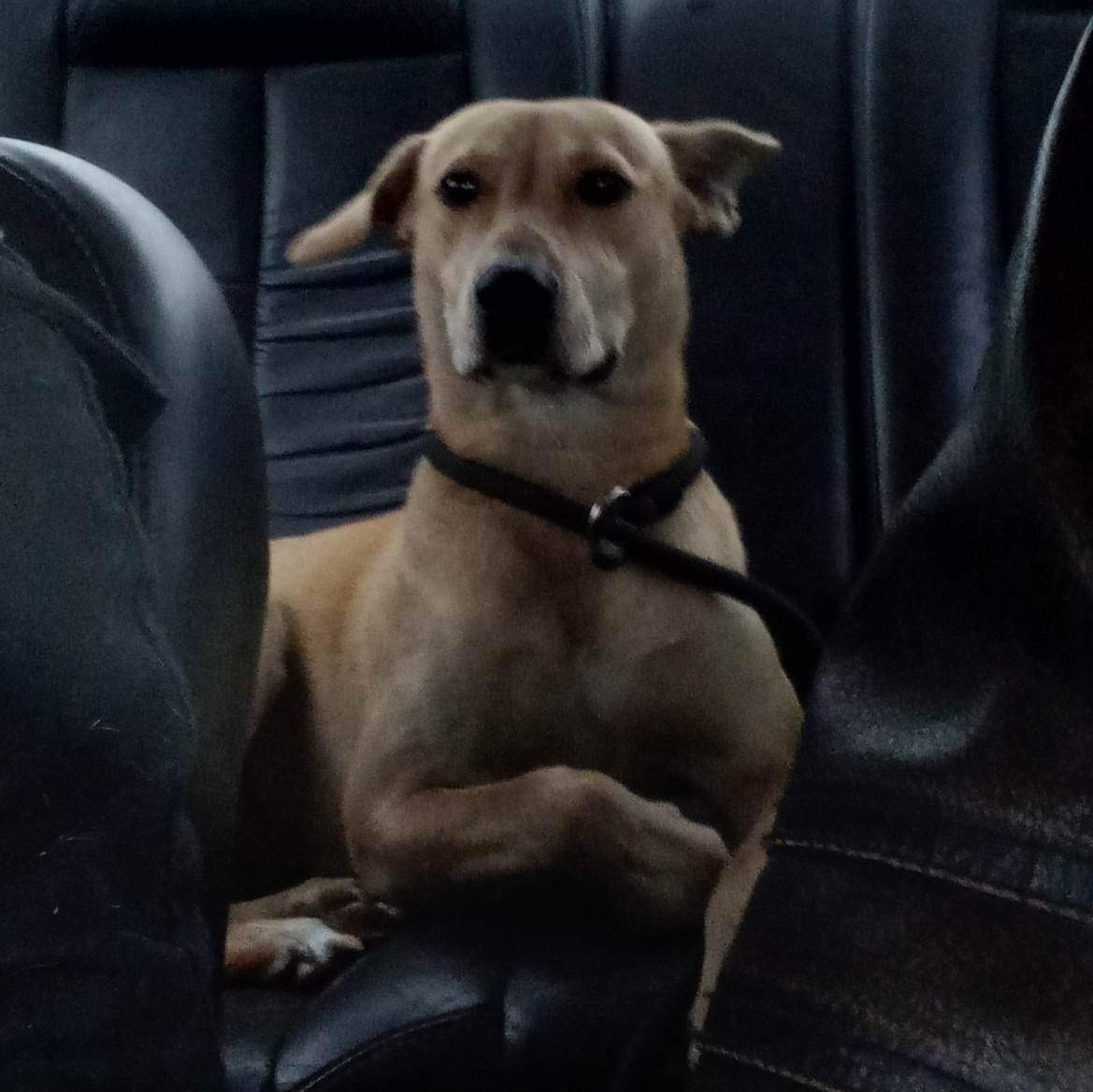 Ditto — thumbnail 6