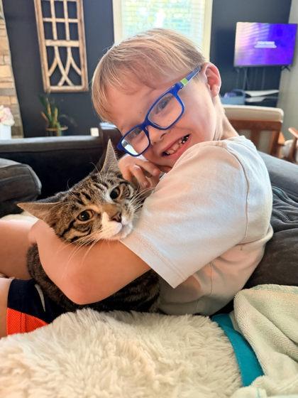 Carp, Adoptable, Young Male Domestic Short Hair.