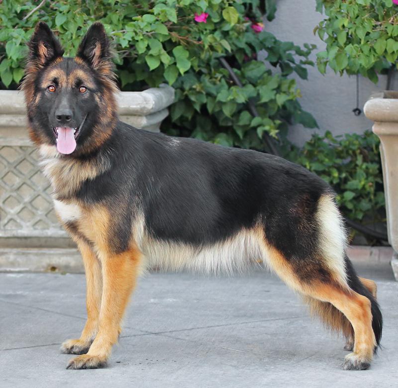 Selena Von Senden thumbnail 6