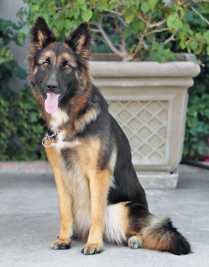 Selena Von Senden thumbnail 4