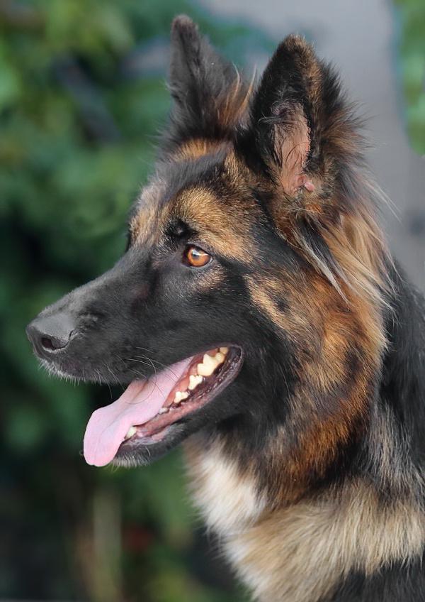 Selena Von Senden thumbnail 3