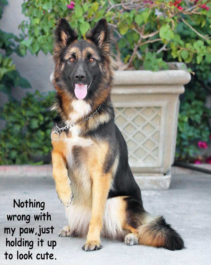 Selena Von Senden thumbnail 5