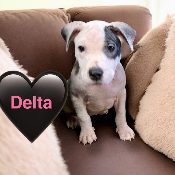 Delta