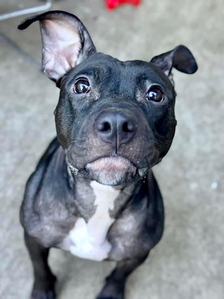 Eyelar — thumbnail 2