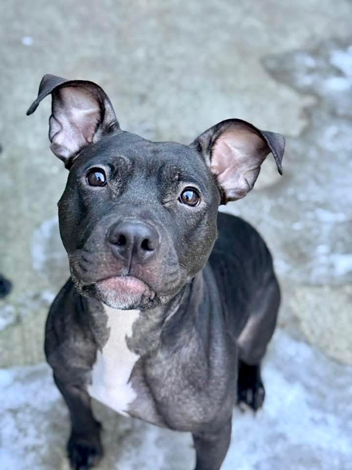 Eyelar — thumbnail 4