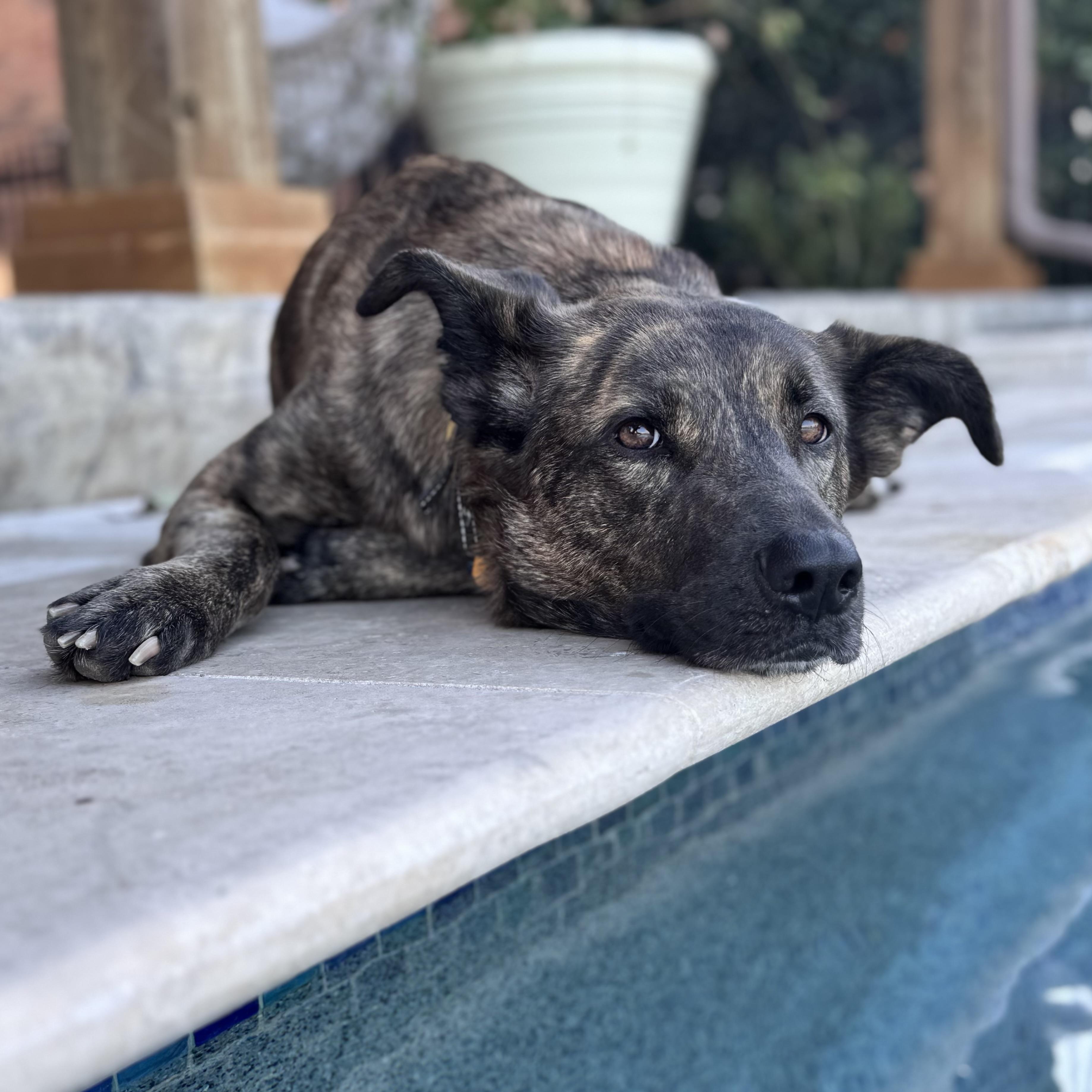 Remy — thumbnail 2