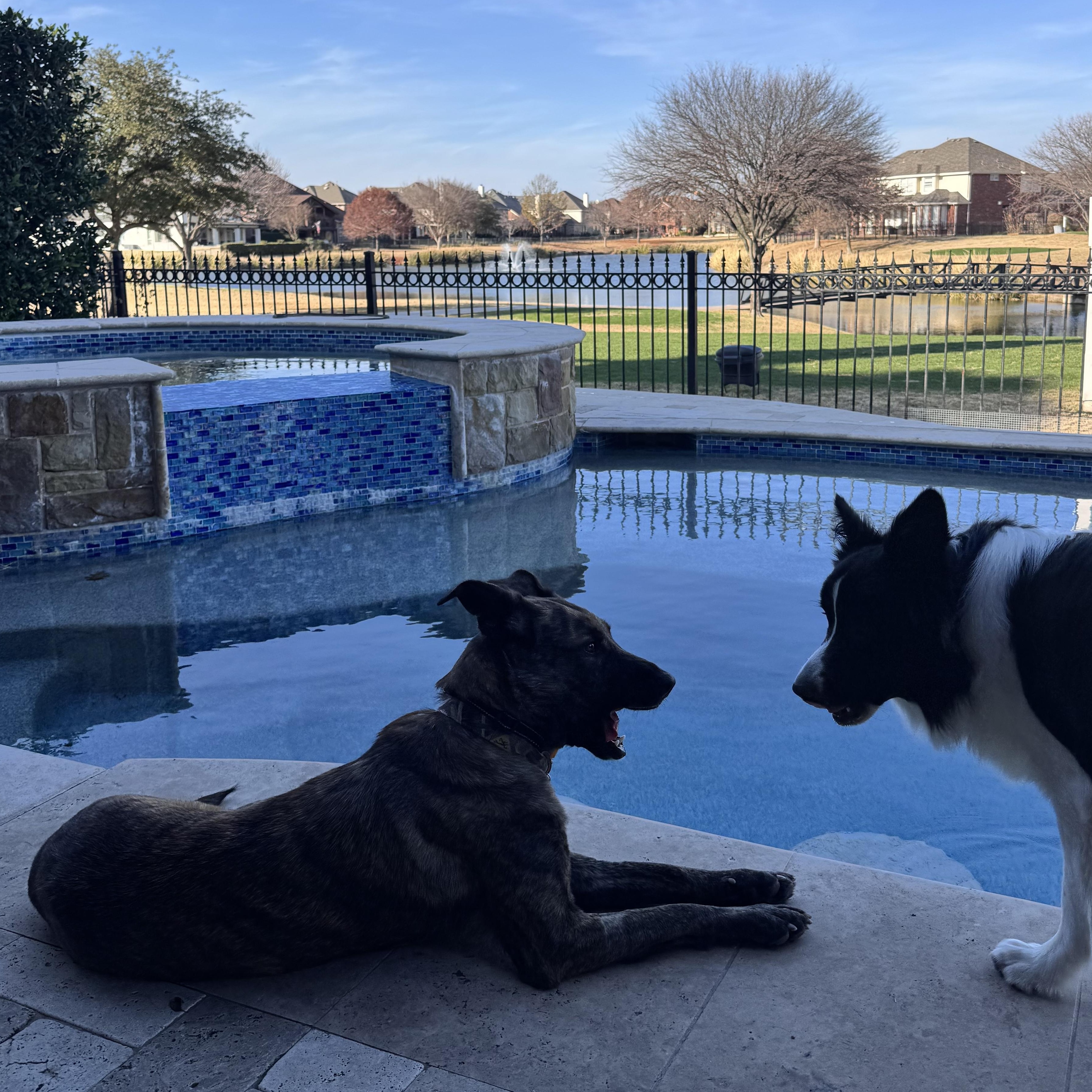 Remy — thumbnail 3