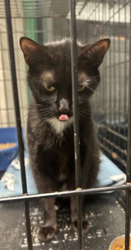 Janeway — thumbnail 3