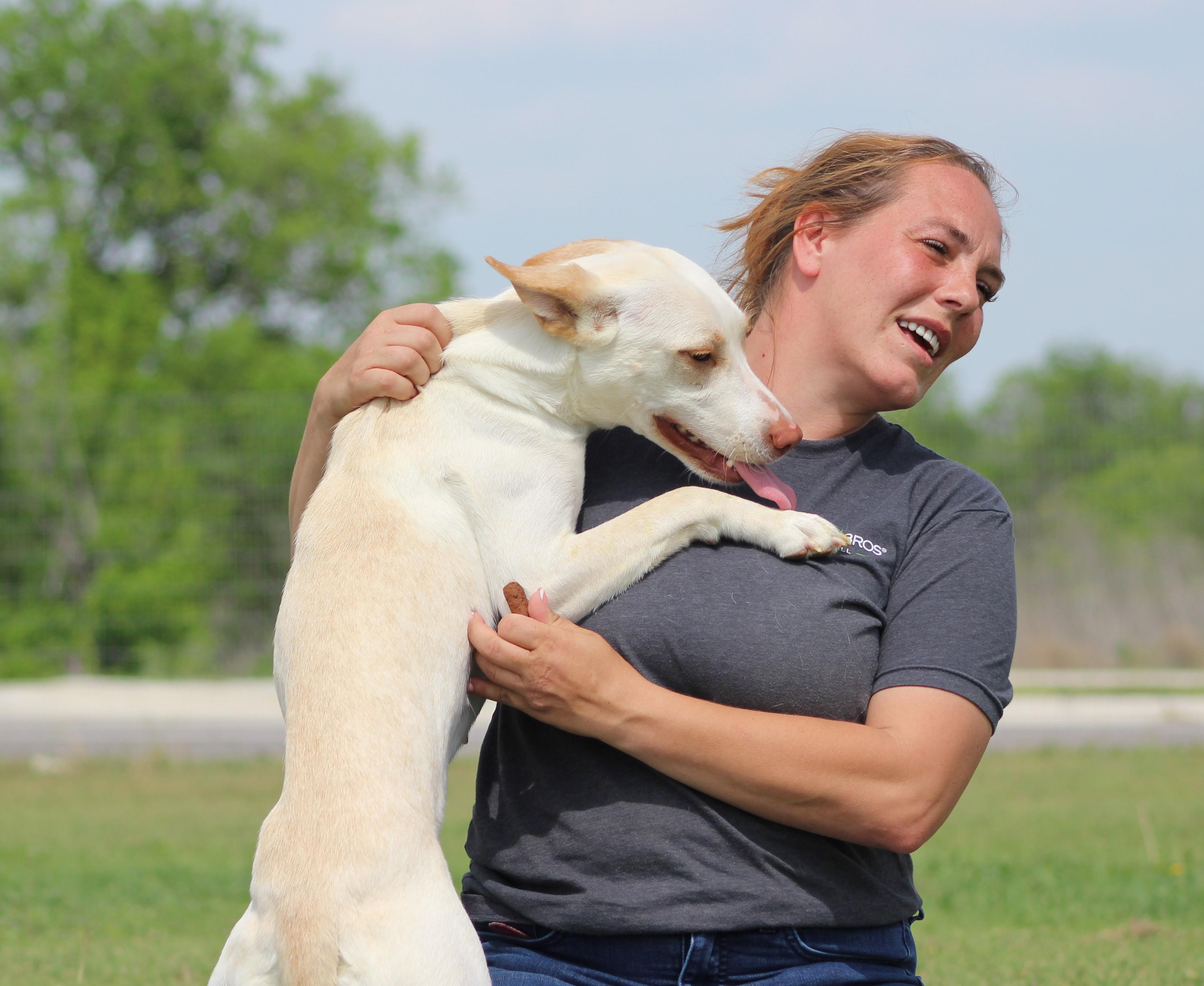 Enlarge Willow, an adoptable mixed breed in Temple, TX image 2/5