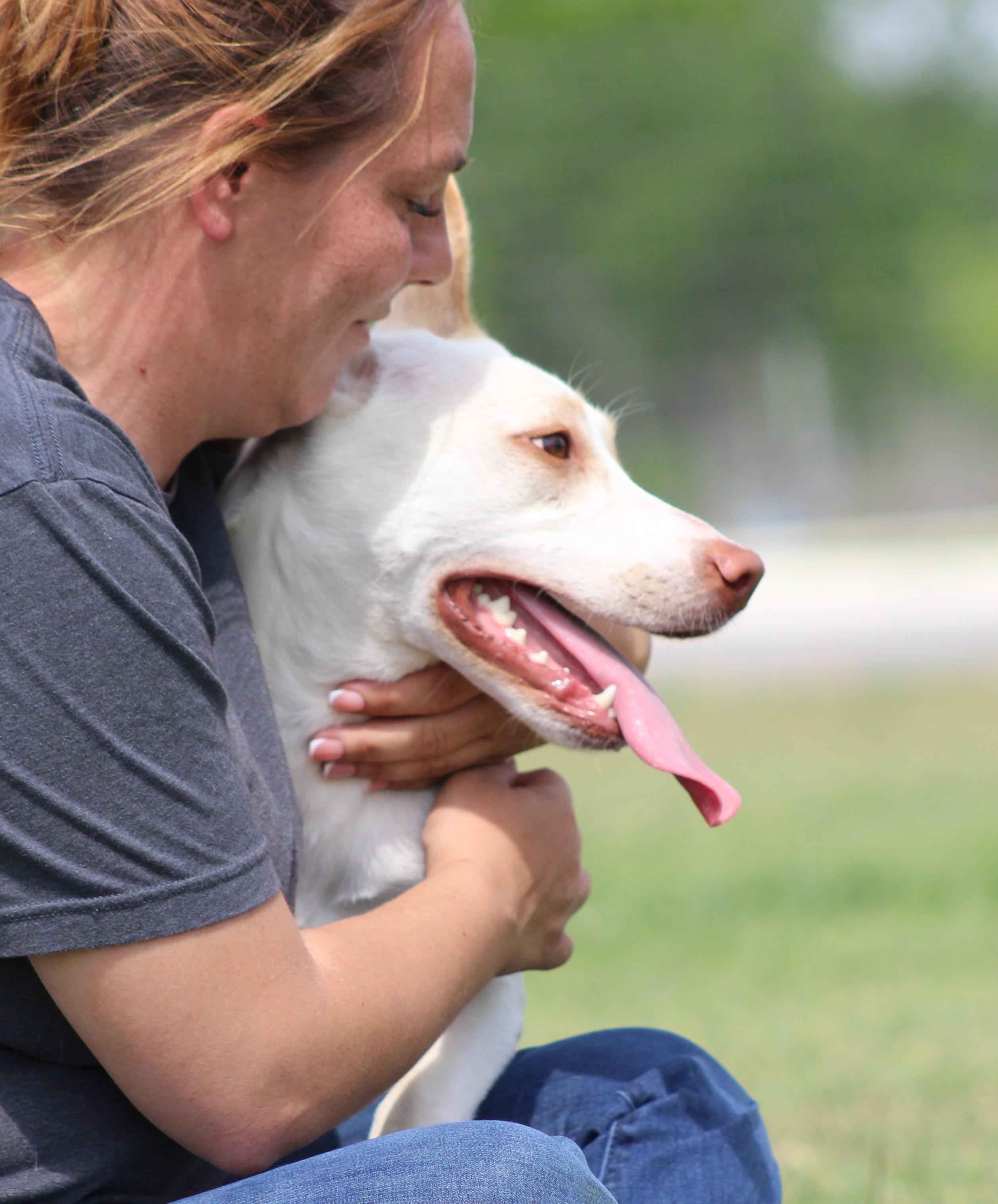 Enlarge Willow, an adoptable mixed breed in Temple, TX image 4/5