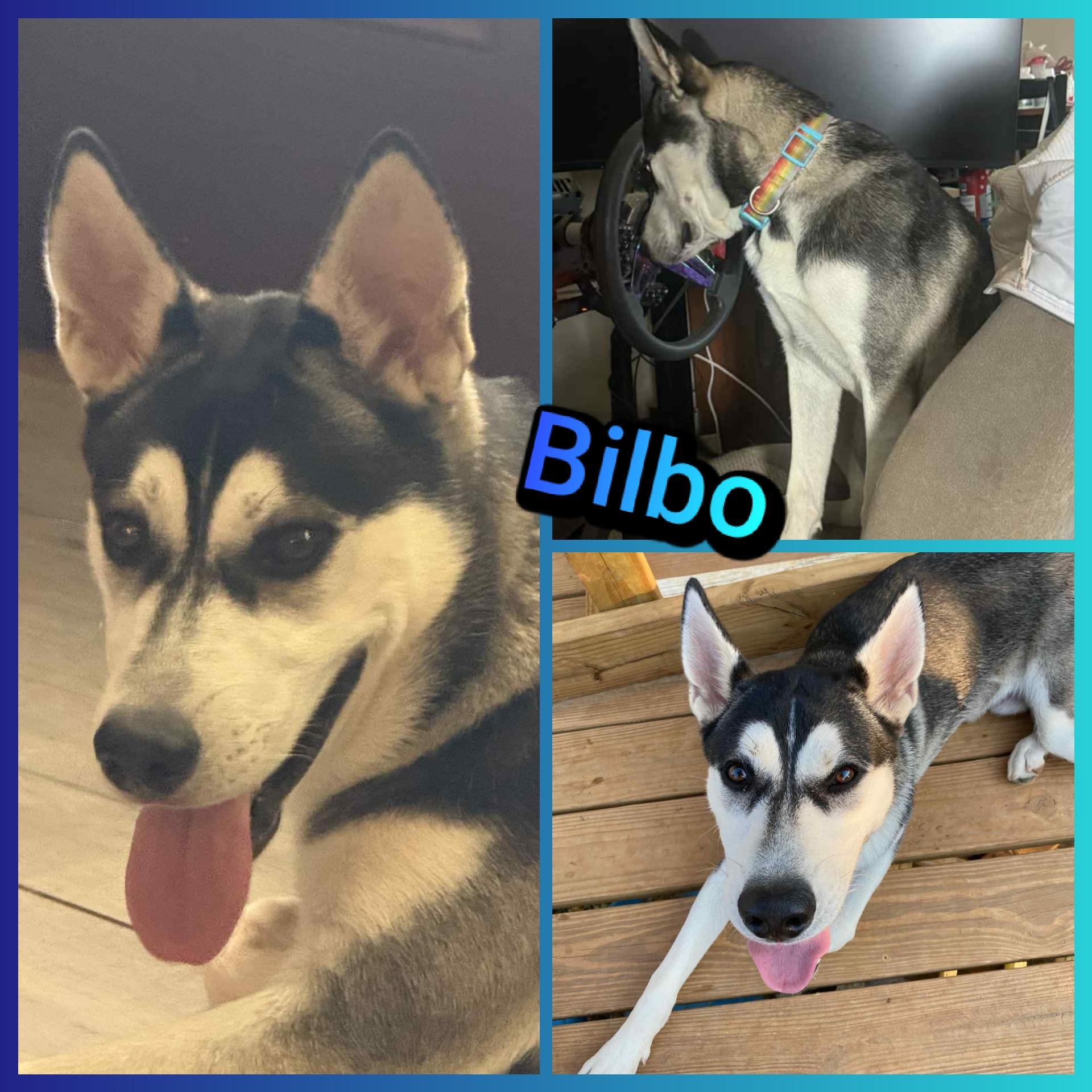 Bilbo Baggins