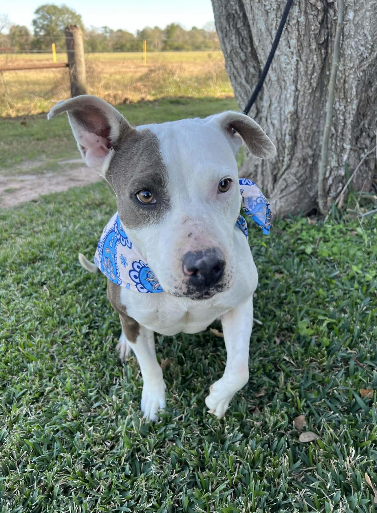 Alley — thumbnail 2