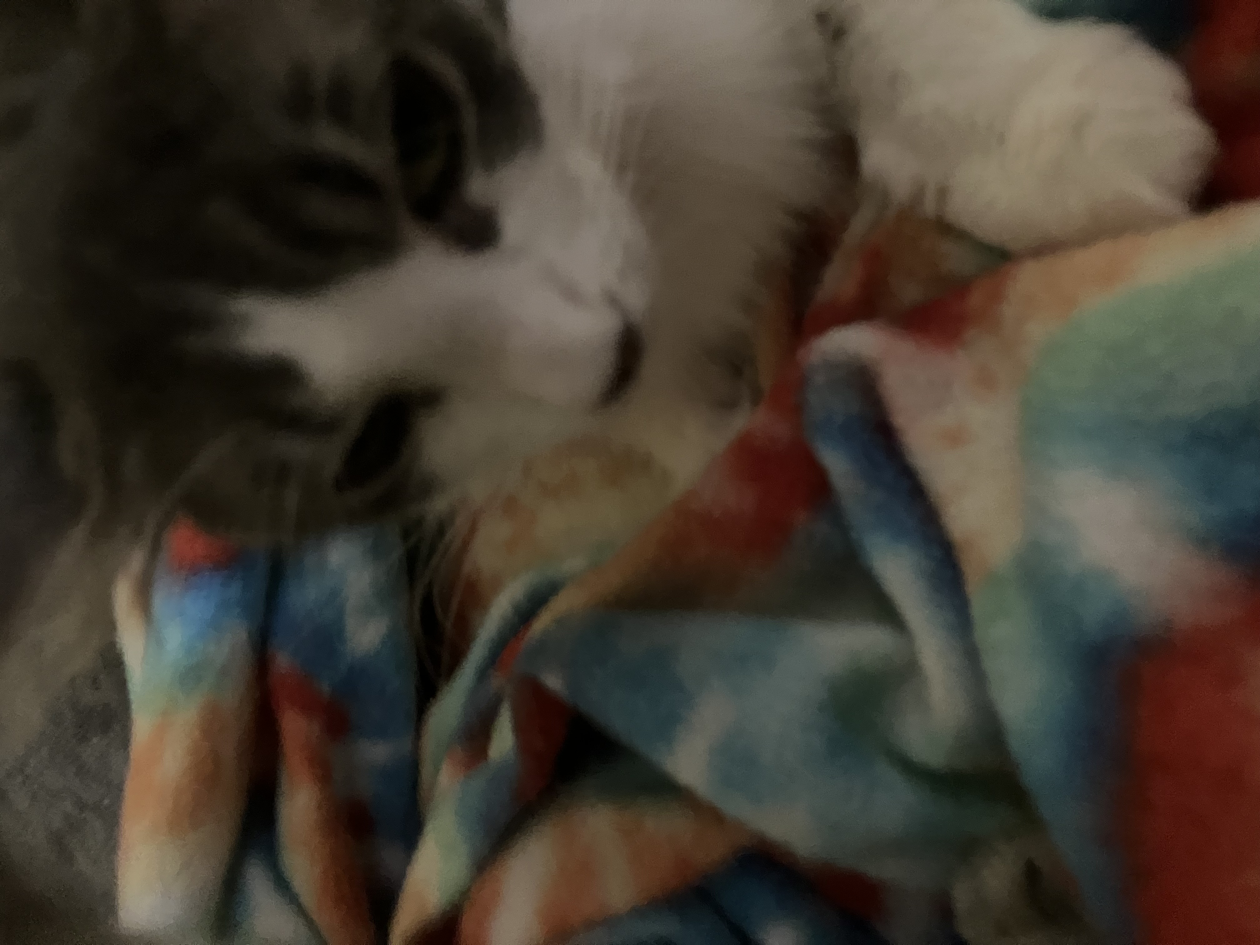 JUDE photo 2