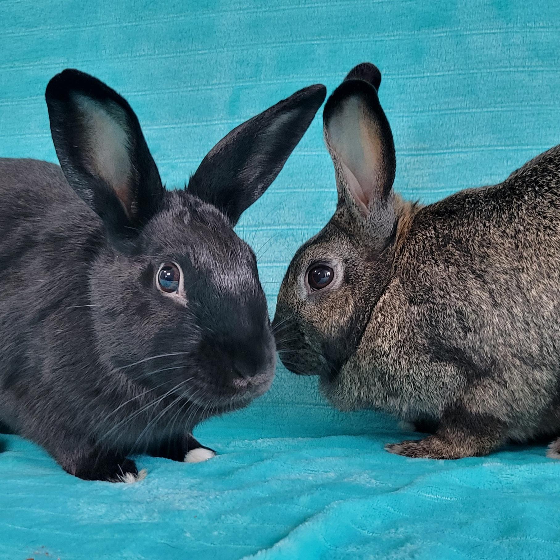 Ellie & Rory photo 6