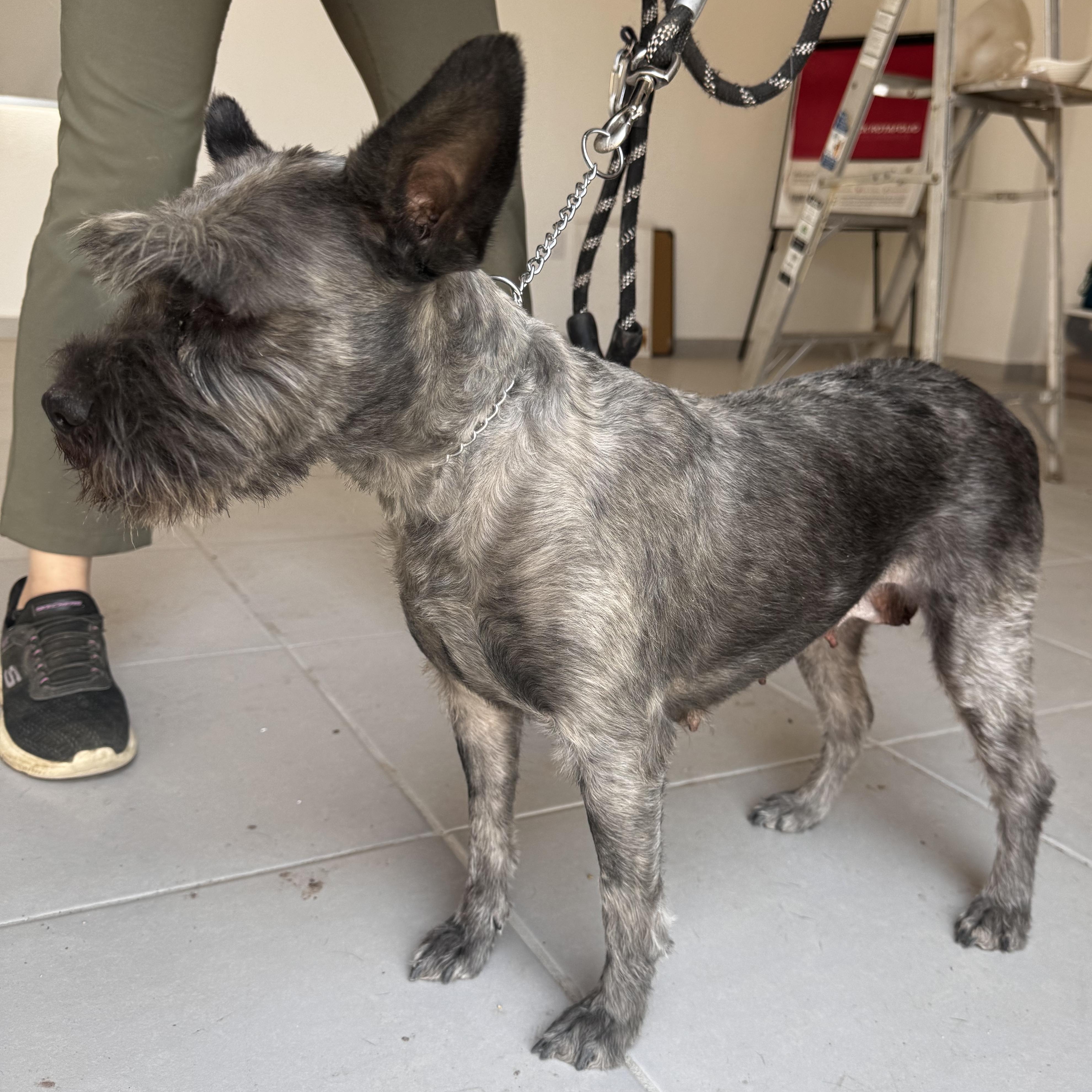 Matilda — thumbnail 2