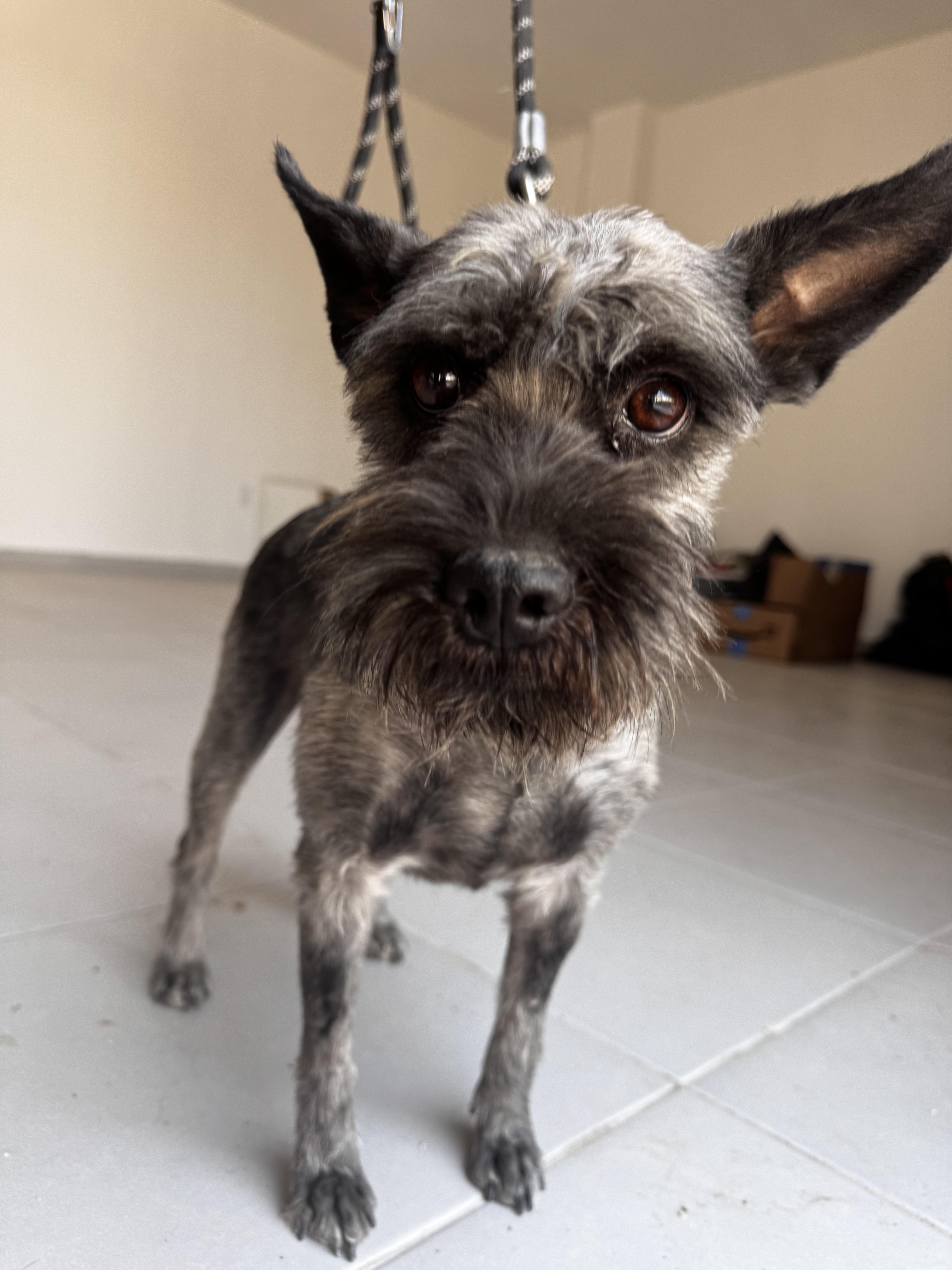 Matilda — thumbnail 4