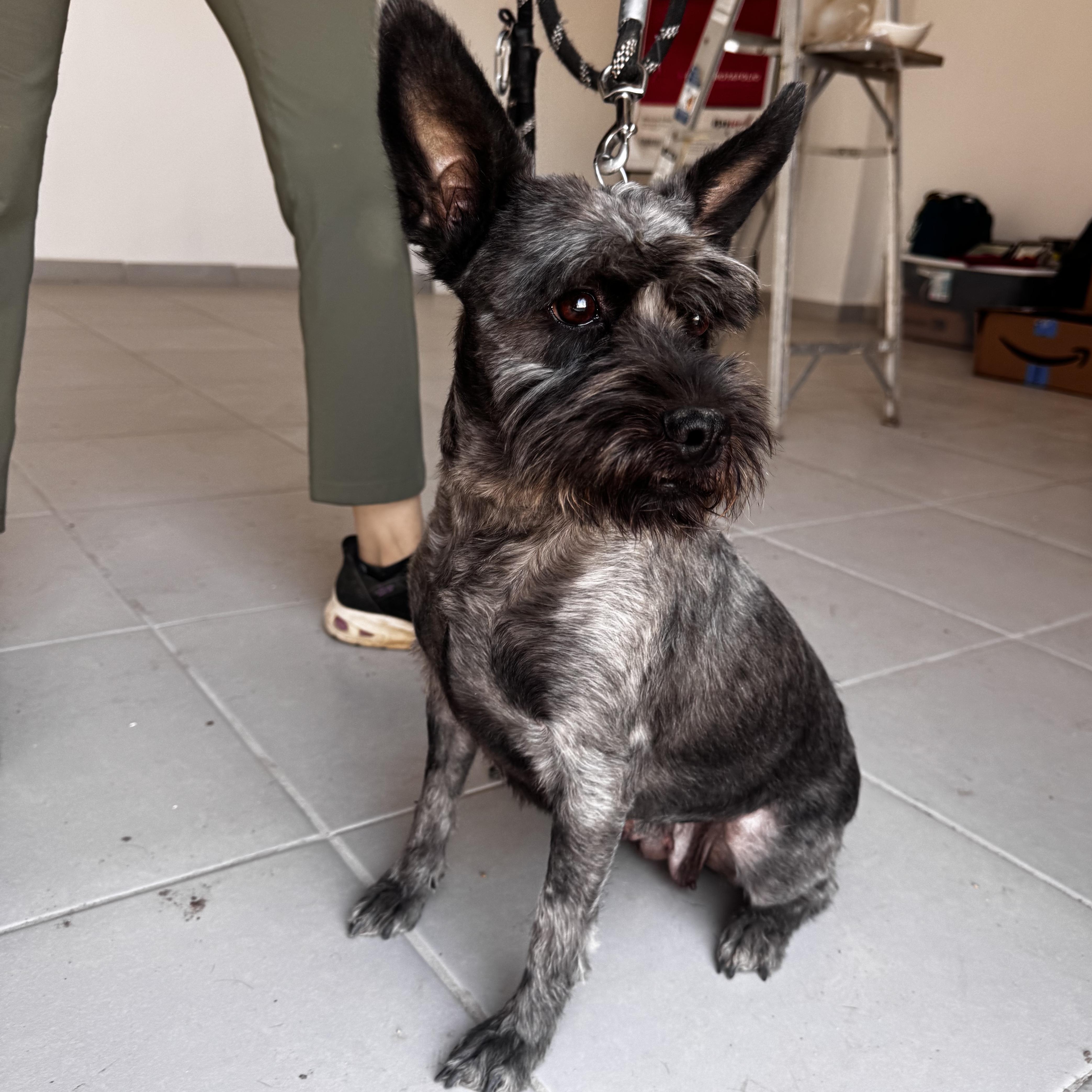 Matilda — thumbnail 5