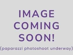 Layton, Adoptable, Kitten Female Torbie & Domestic Short Hair.