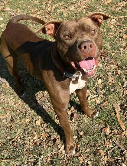 Eddie — thumbnail 3