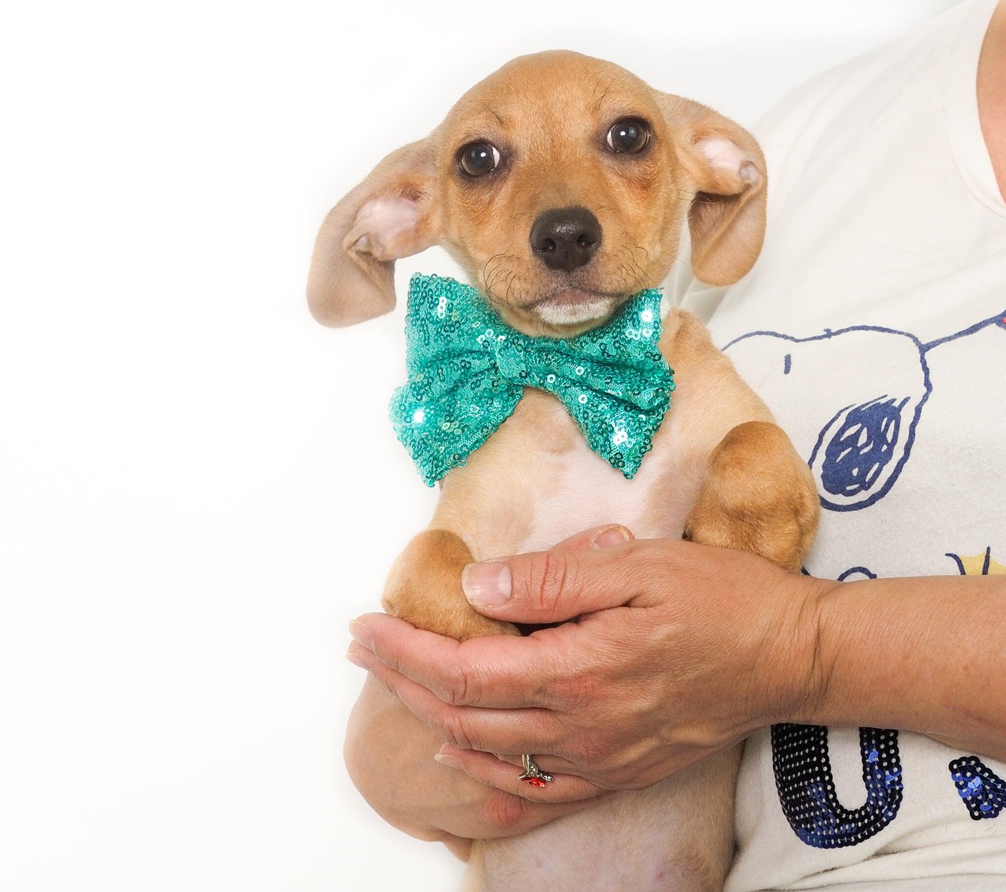 Topaz — thumbnail 2