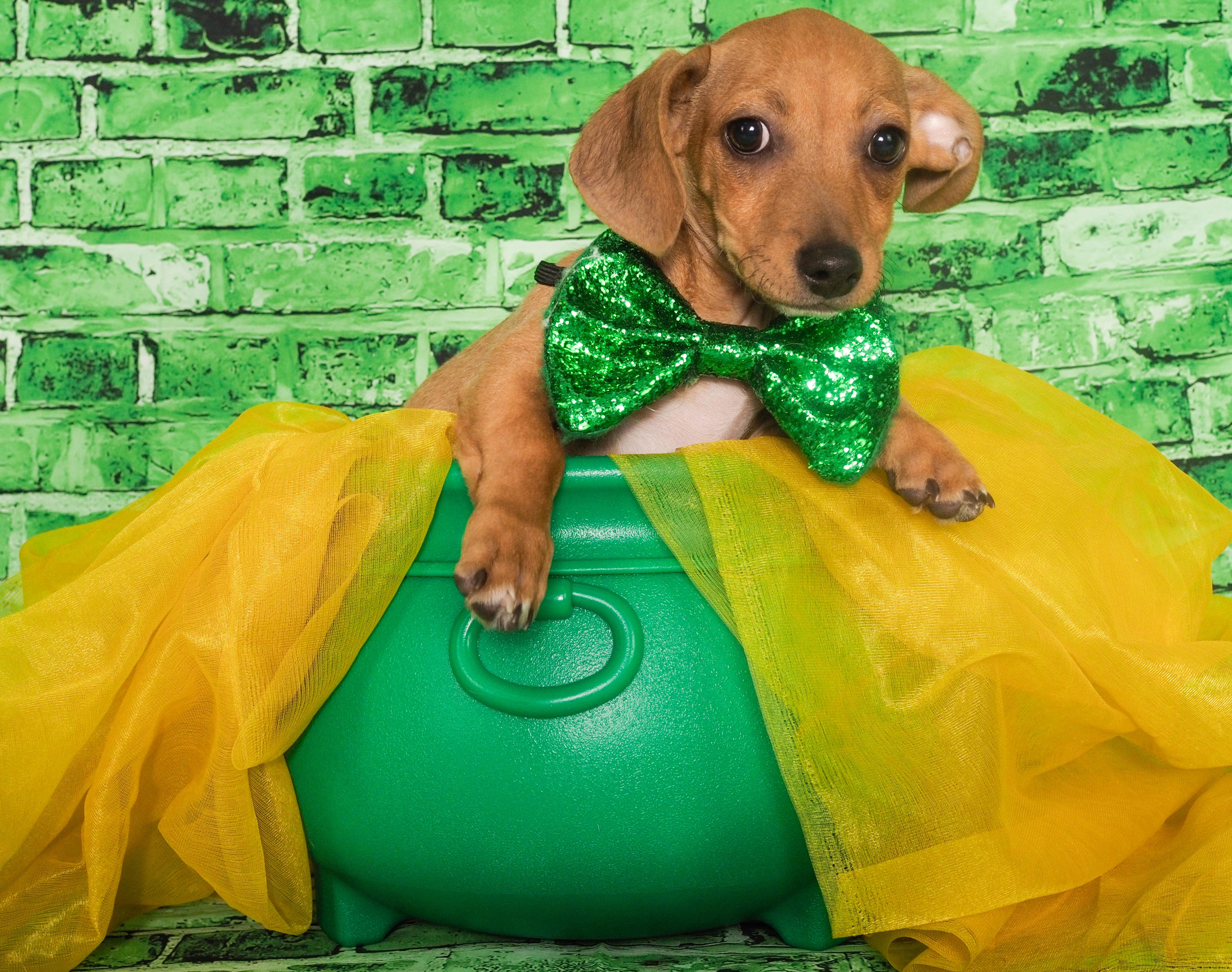 Topaz — thumbnail 3