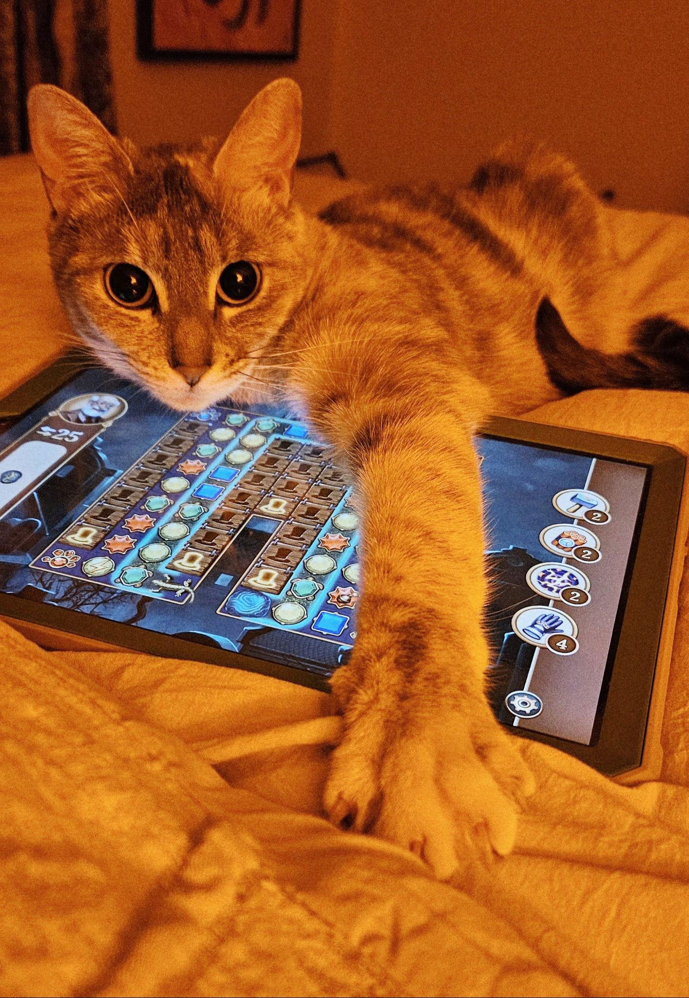 Enlarge Pongo, a Adoptable mixed breed in Magnolia Springs, AL image 1/3