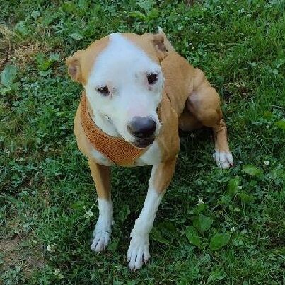 Sasha photo 3