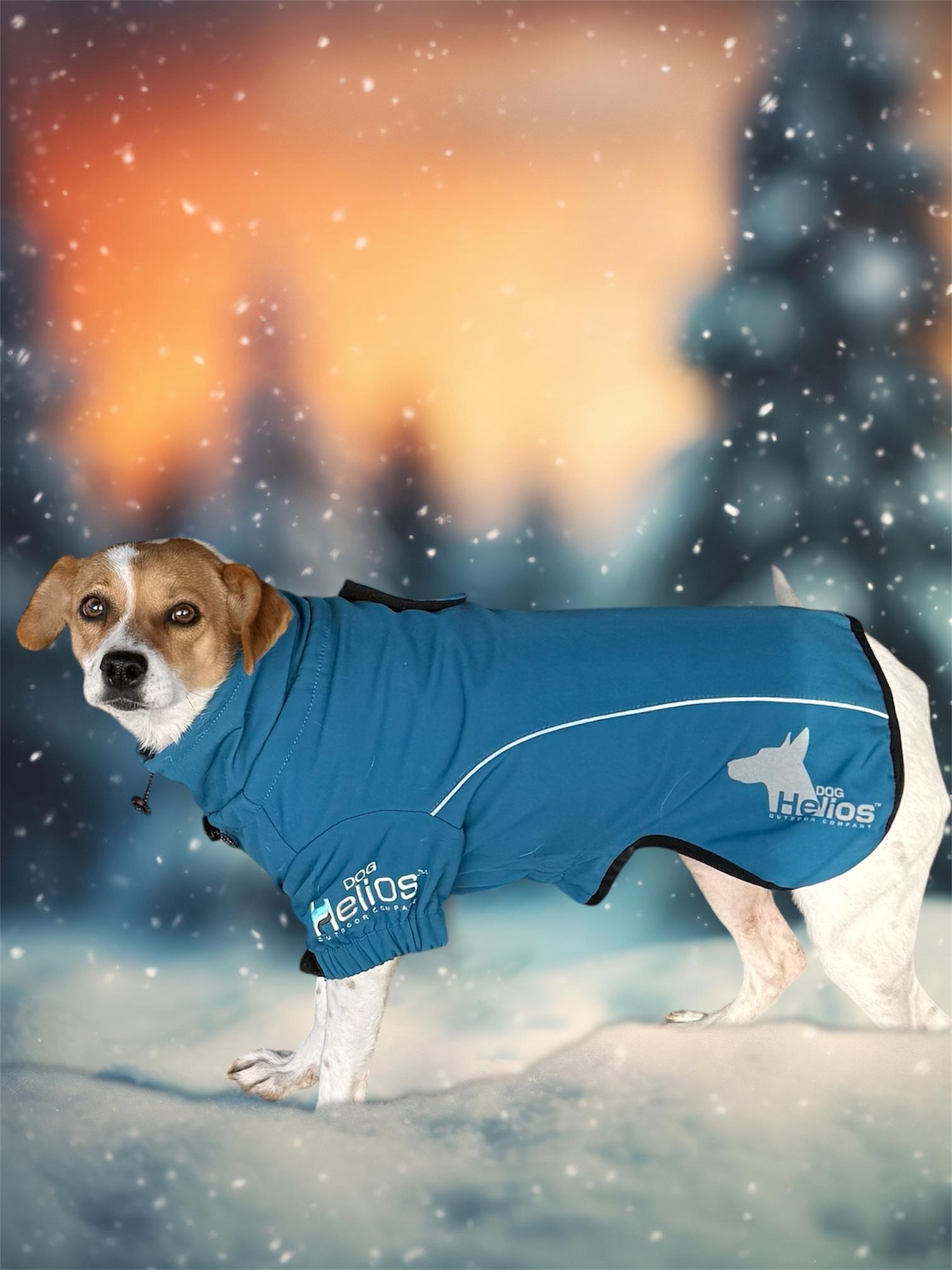 Enlarge Canica, a ADOPTABLE mixed breed in South Saint Paul, MN image 5/6