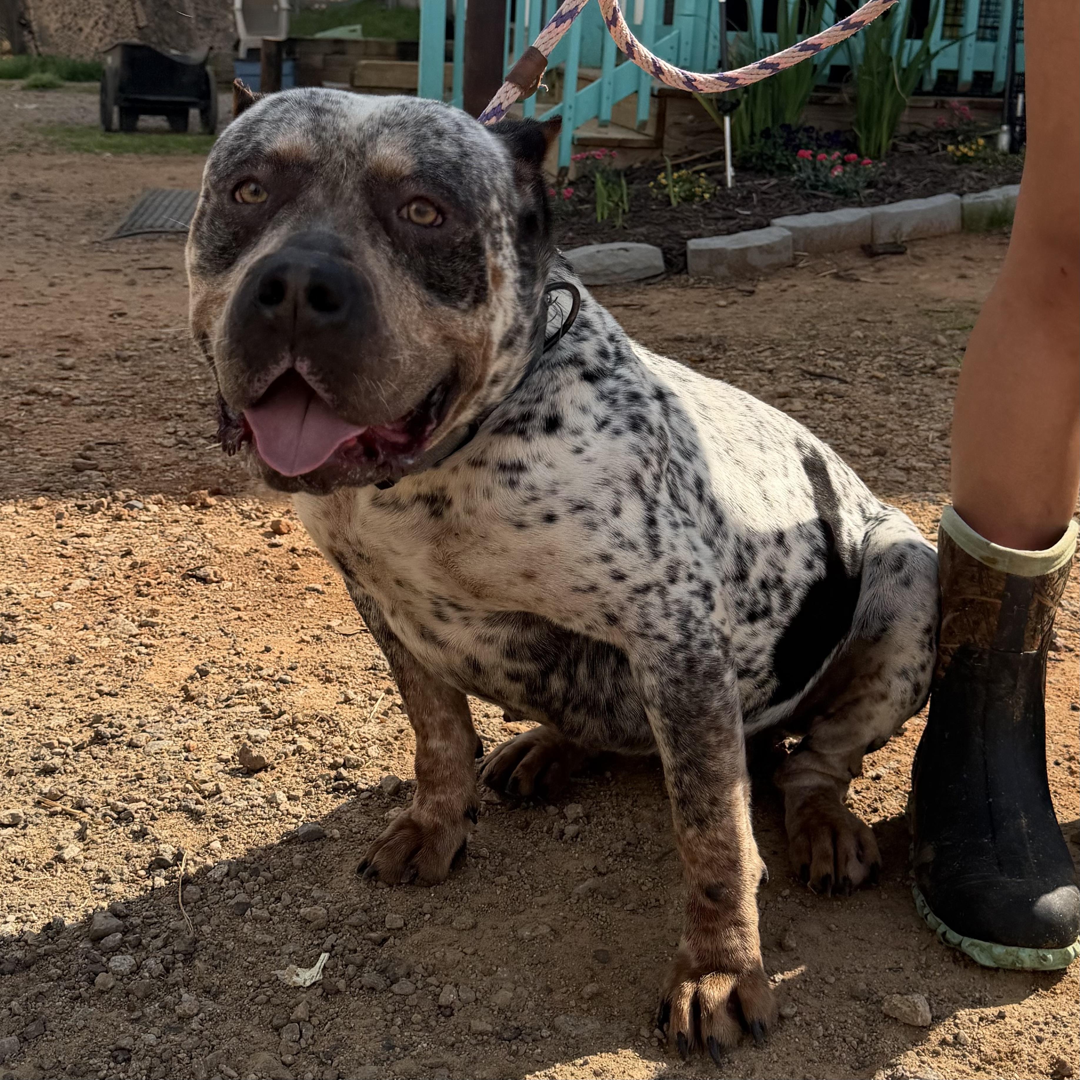 Medusa — thumbnail 3