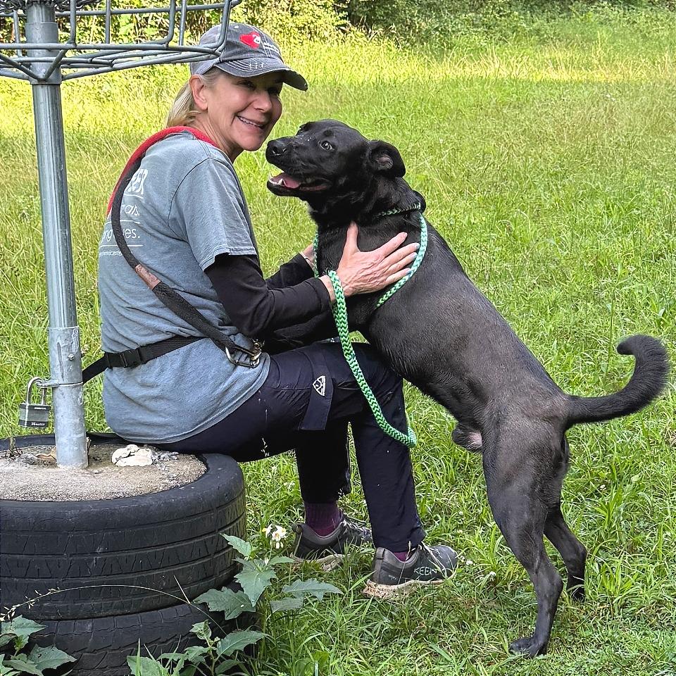 Pyro, a Adoptable Mixed Breed in Chattanooga, TN image 3/5
