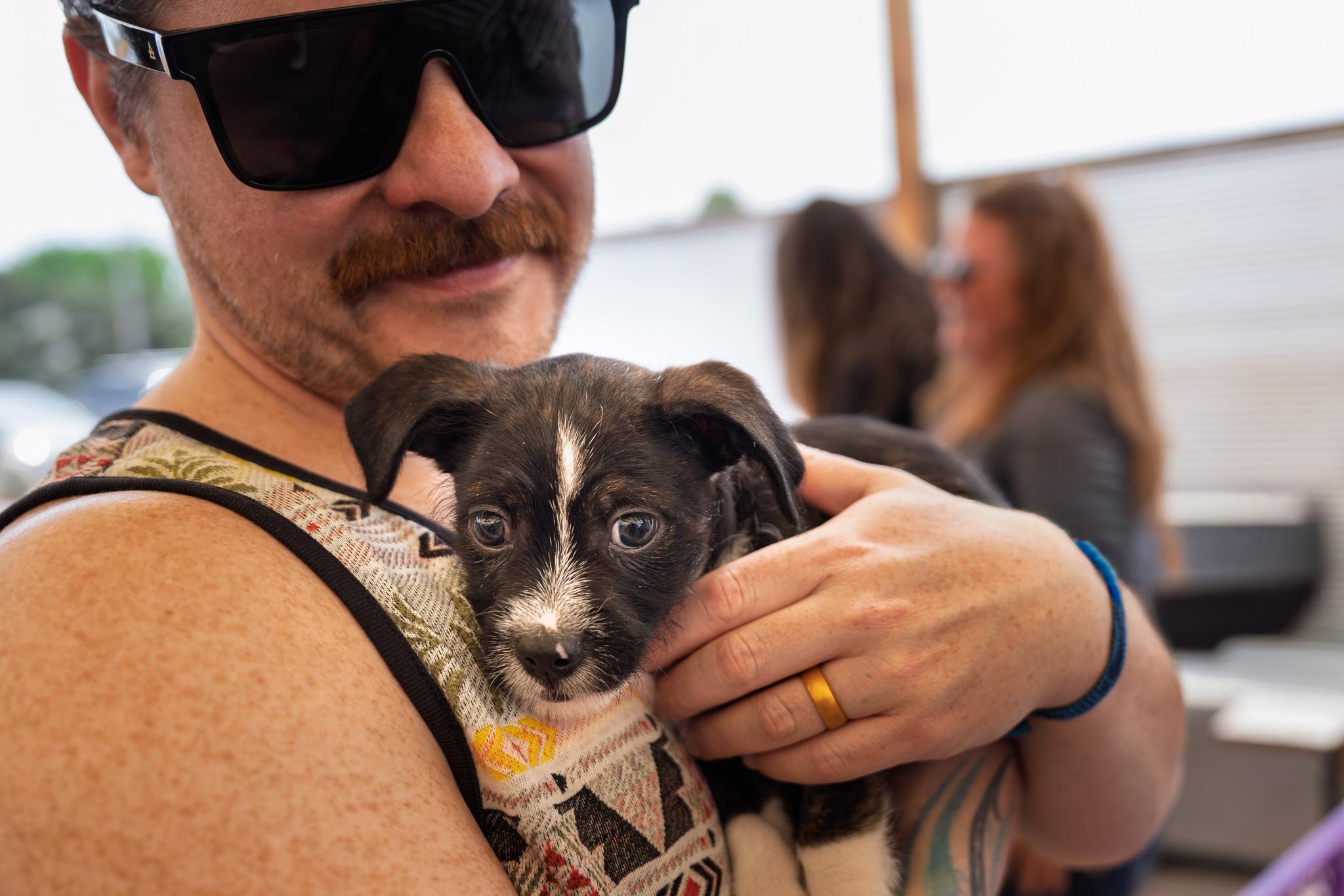 Bryce, an adoptable mixed breed in Minneapolis, MN image 4/6